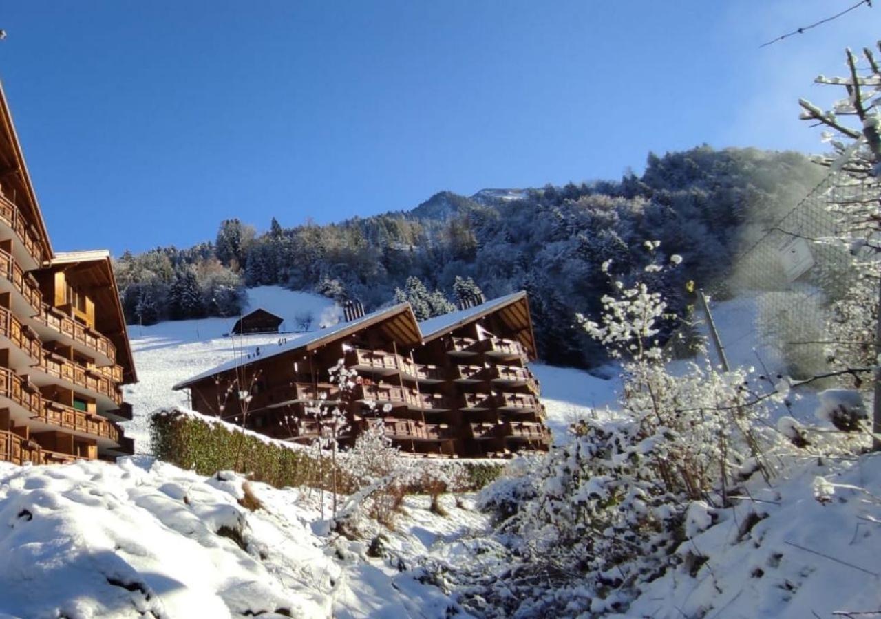 Aparthotel Mountain River Resort Val dʼIlliez Eksteriør billede